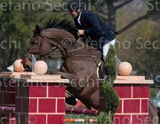 Le Jeune Vikali TosTour2013- S5 2318 : Arezzo, Arezzo Equestrian Centre, Le Jeune Philippe, Toscana Tour 2013, Vikali de l'Heribus, foto di Stefano Secchi ©